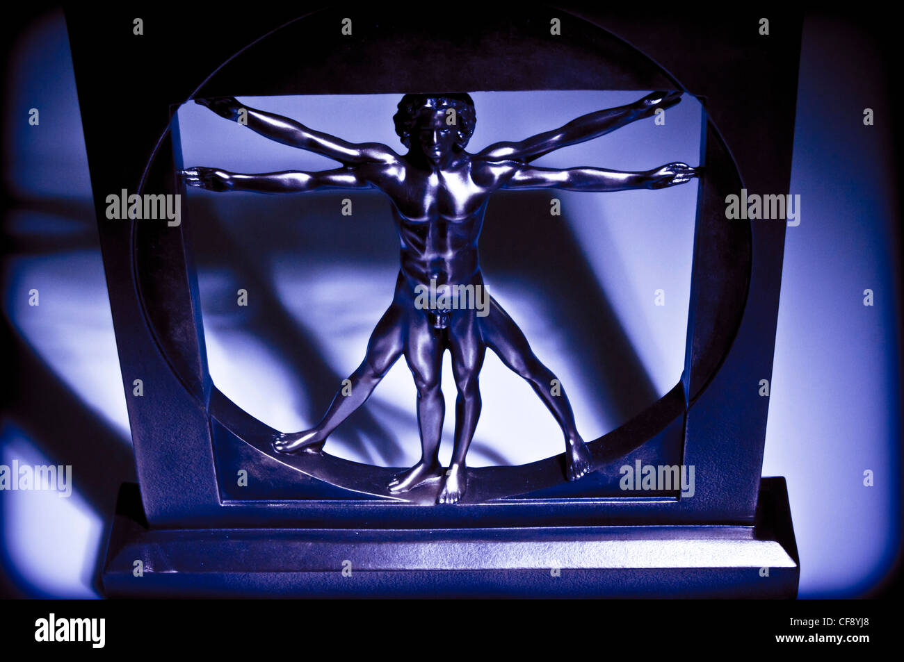 Sculpture l'homme de Vitruve Banque D'Images