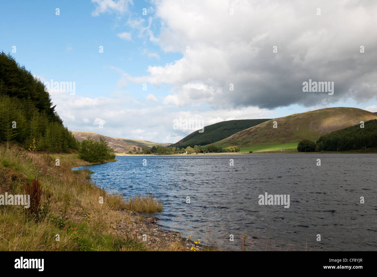 Loch de Lowes est un loch près de Dunkeld à Perth et Kinross, Scotland. loch & ses environs sont désignées comme réserve Banque D'Images