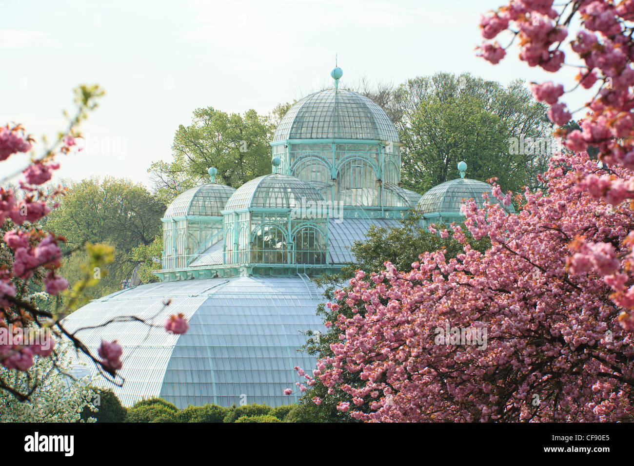 Belgique, Bruxelles, Laeken, le château royal, domaine les Serres de Laeken, la serre du Congo. Banque D'Images