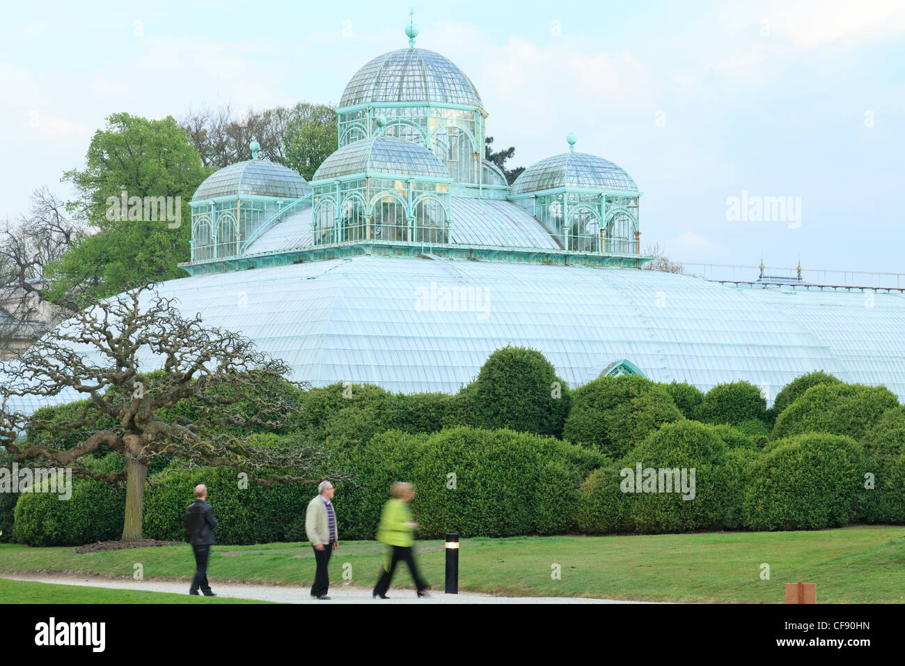 Belgique, Bruxelles, Laeken, le château royal, domaine les Serres de Laeken, la serre du Congo. Banque D'Images