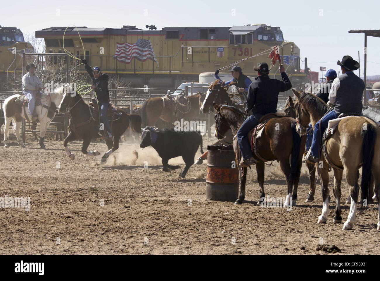 Team roping événement dans une petite ville de l'ouest du Texas. Banque D'Images
