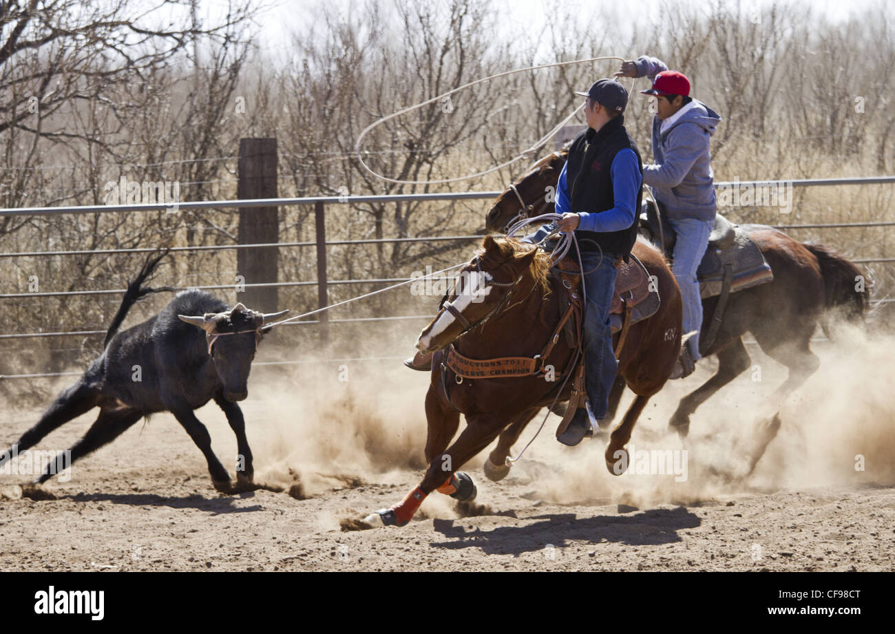 Team roping événement dans une petite ville de l'ouest du Texas. Banque D'Images