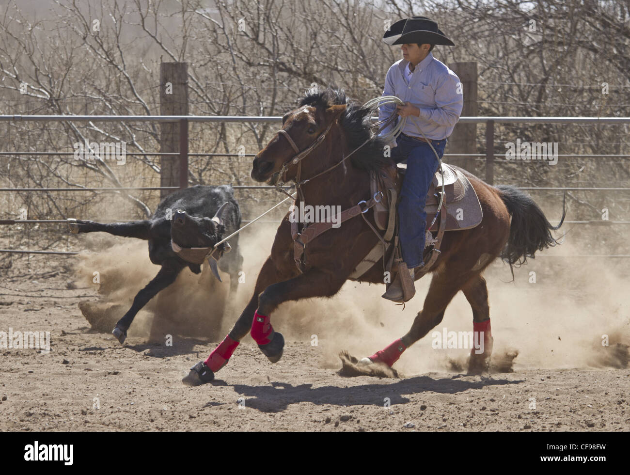 Team roping événement dans une petite ville de l'ouest du Texas. Banque D'Images