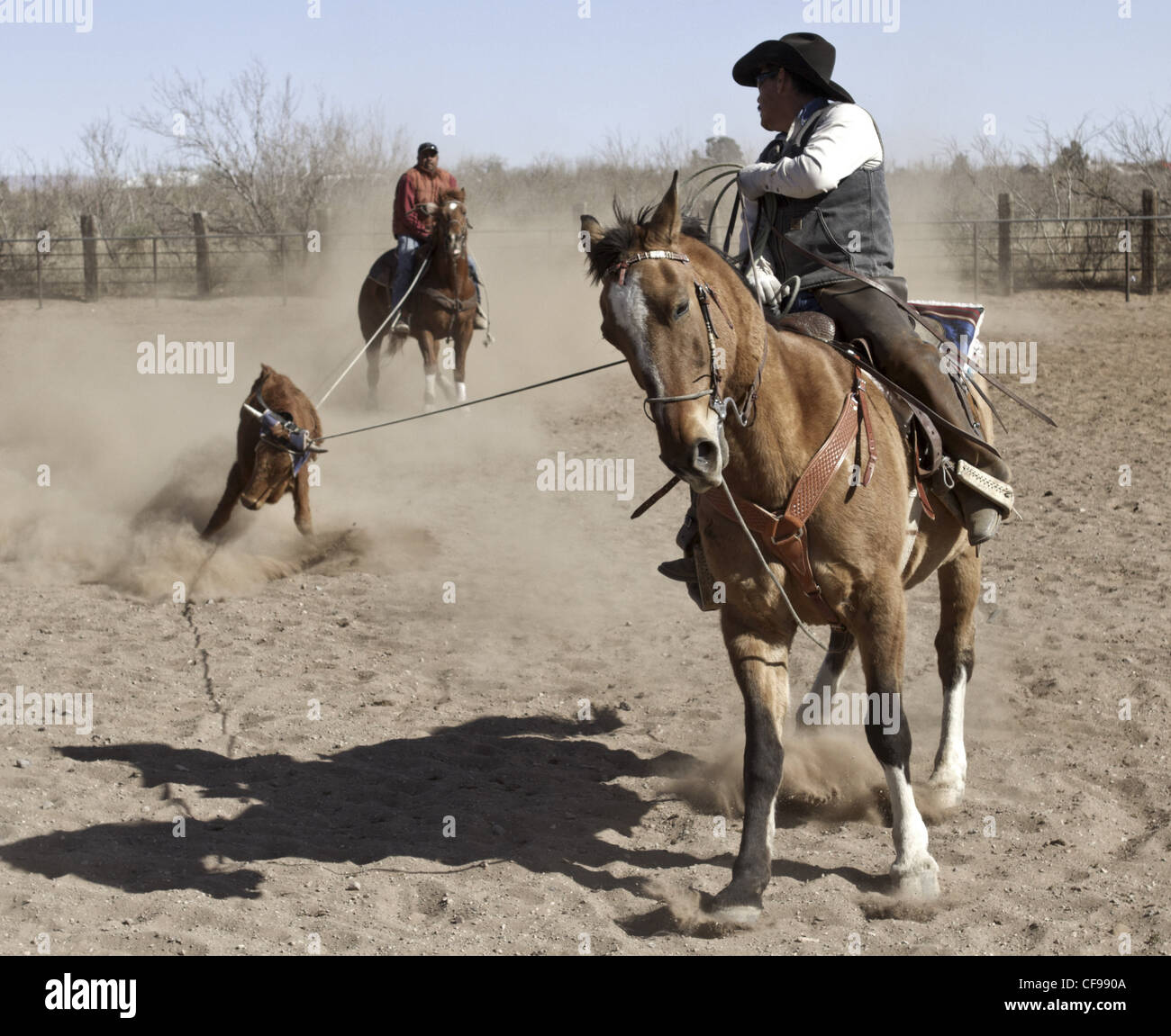 Team roping événement dans une petite ville de l'ouest du Texas. Banque D'Images