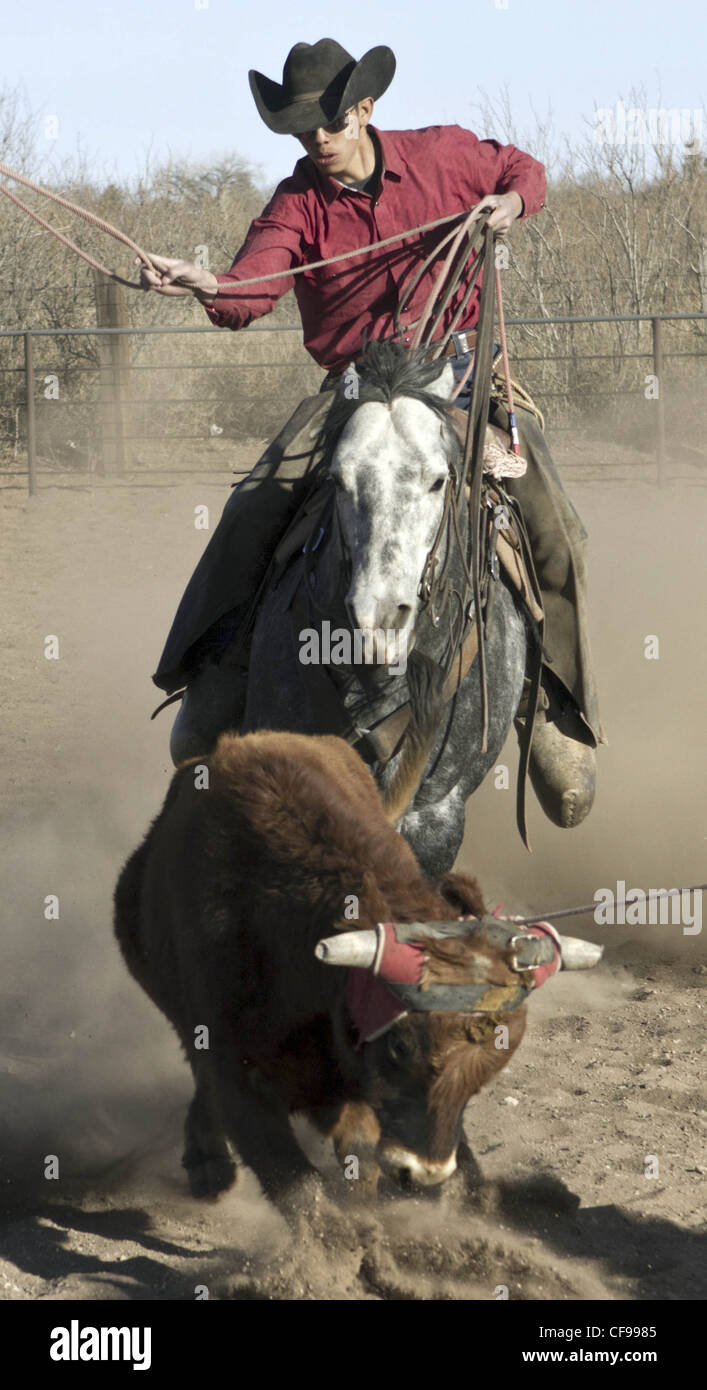 Team roping événement dans une petite ville de l'ouest du Texas. Banque D'Images
