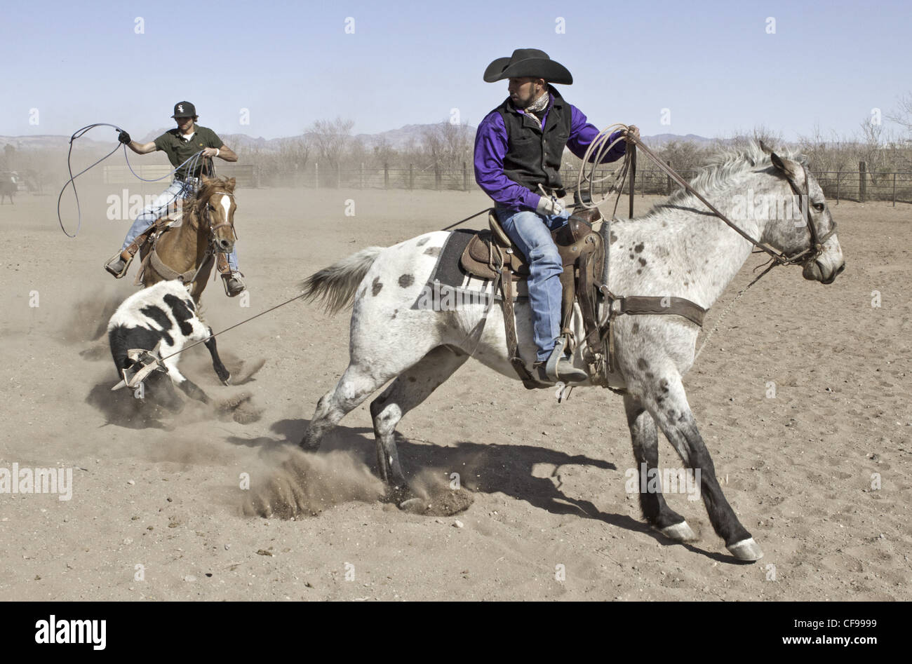 Team roping événement dans une petite ville de l'ouest du Texas. Banque D'Images