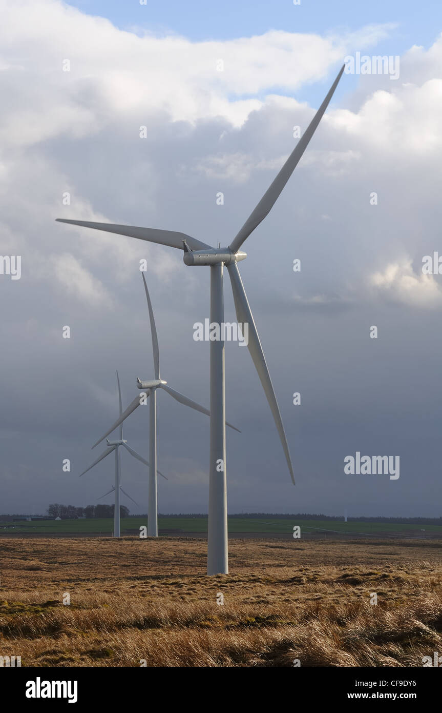 Whitelee éoliennes en Ecosse est le plus important en Europe. Banque D'Images