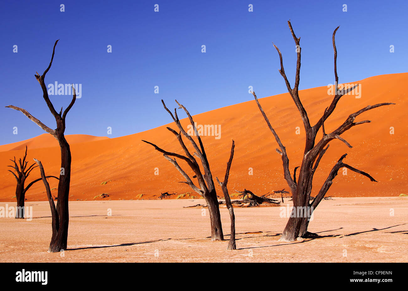 Dead Vlei, Namibie, Namib-Desert Banque D'Images