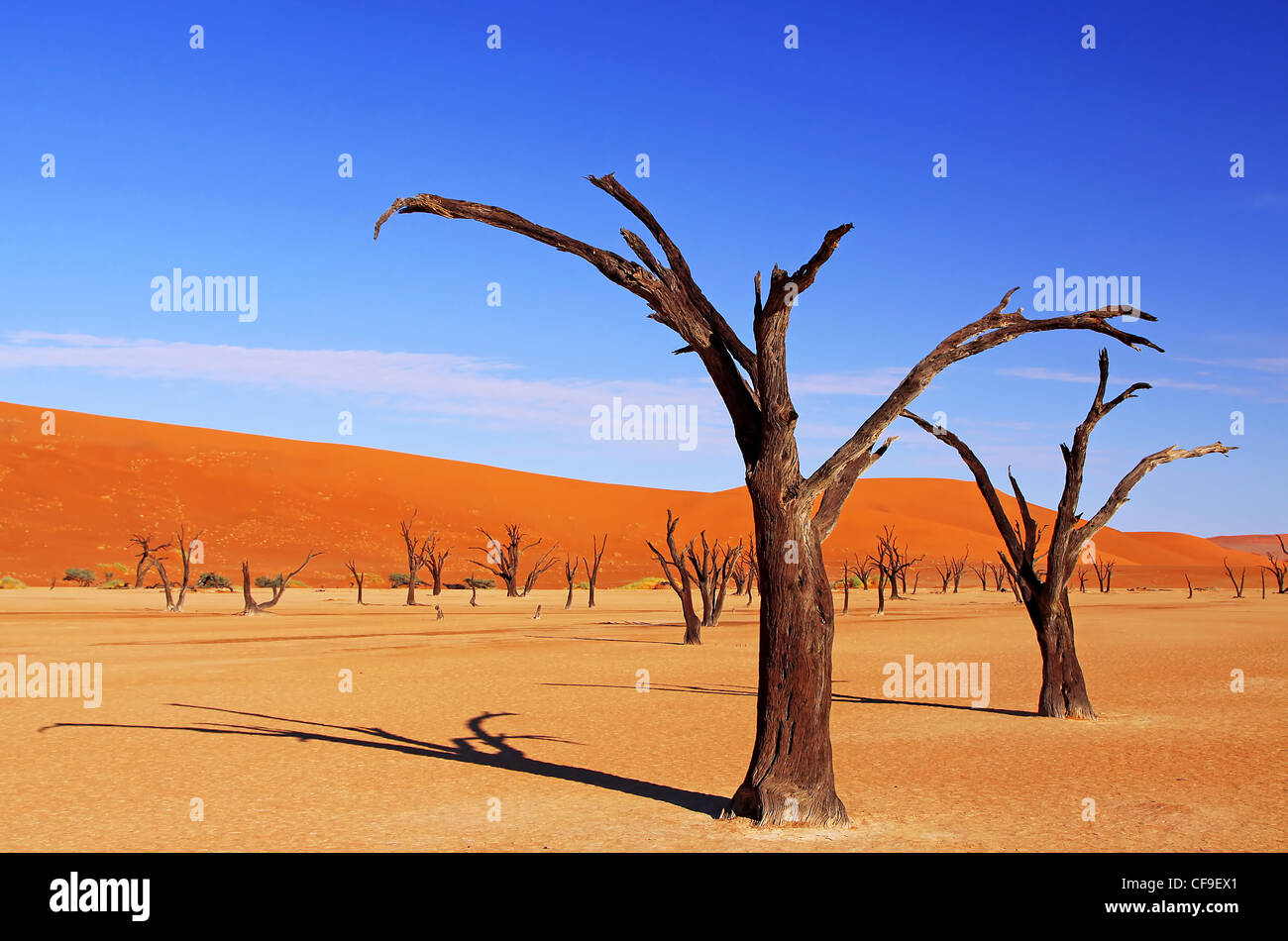 Dead Vlei, Namibie, Namib-Desert Banque D'Images