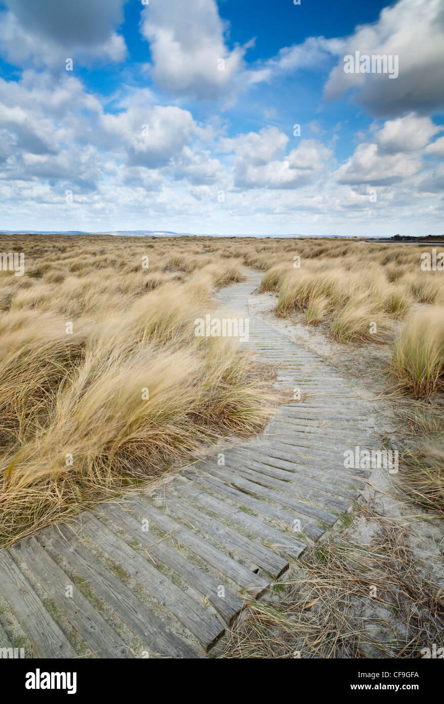 Un chemin qui serpente entre les dunes de sable à West Wittering à West Sussex Banque D'Images