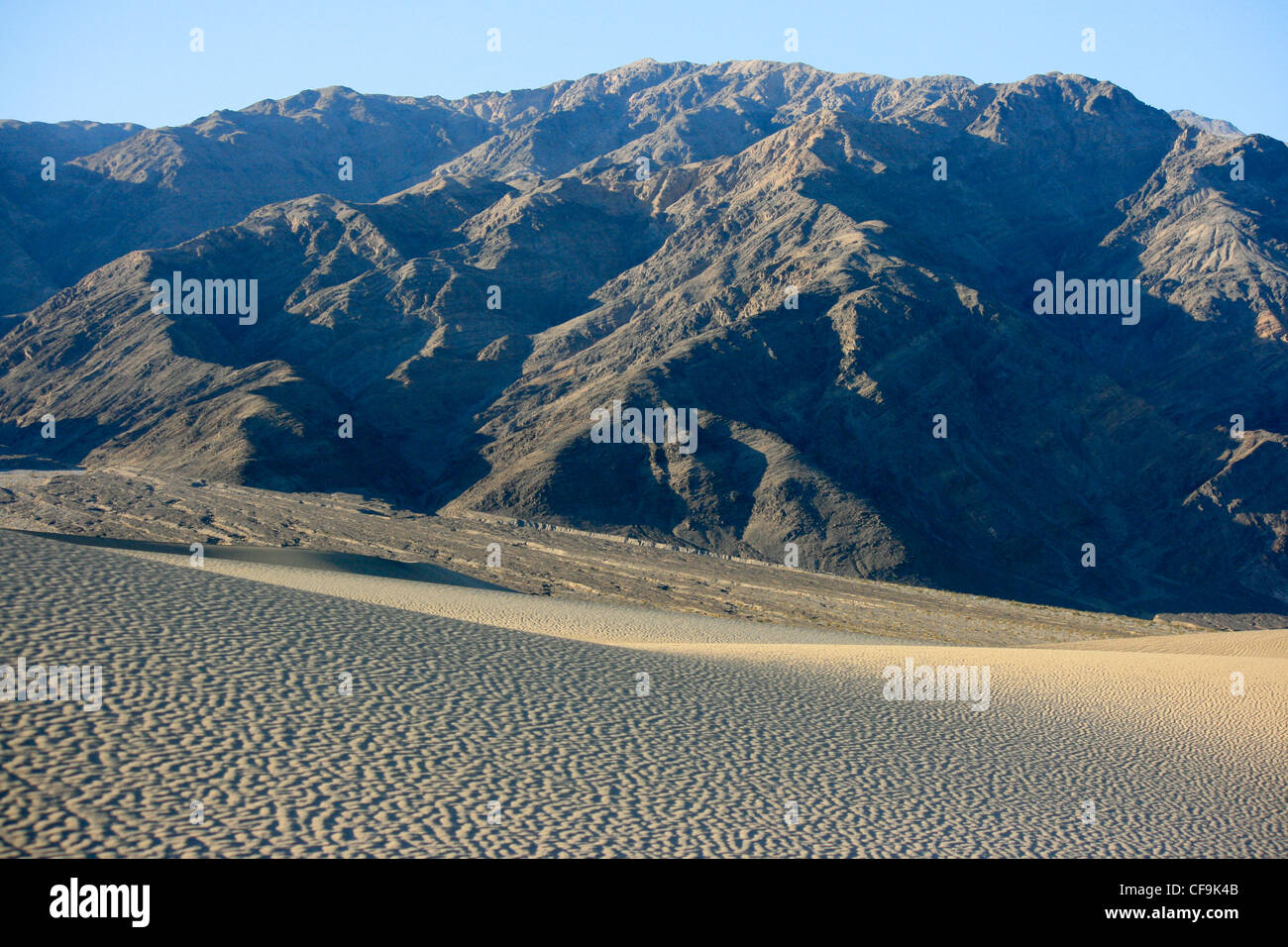 Désert dans Death Valley National Park avec Mesquite Sand Dunes Banque D'Images