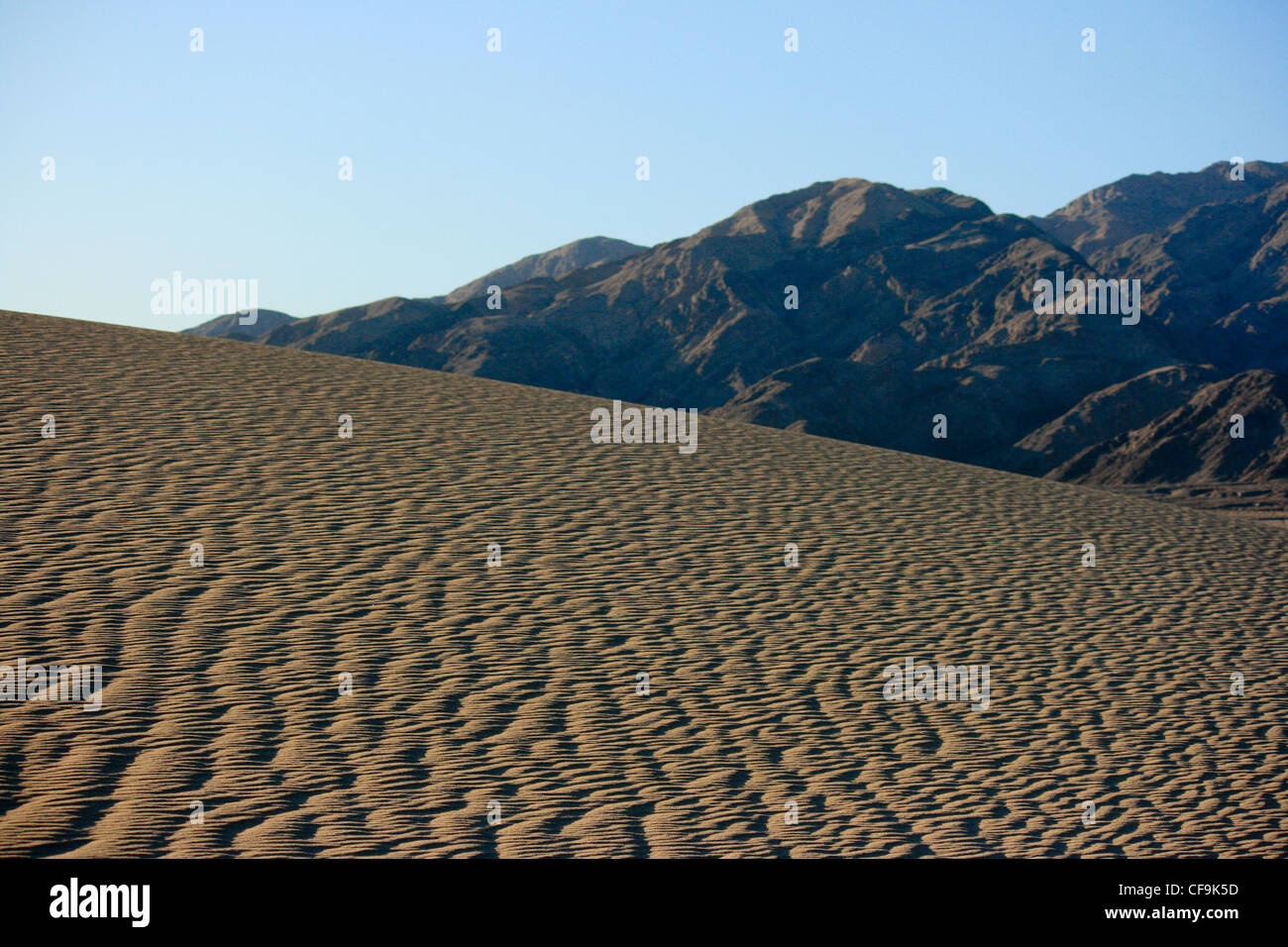 Mesquite Sand Dunes et désert dans Death Valley National Park Banque D'Images