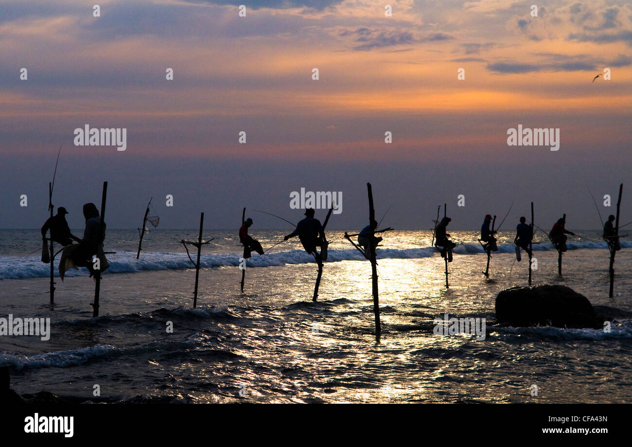 Pêcheurs sur pilotis debout sur leurs perches pendant le coucher du soleil à Midigama. Banque D'Images