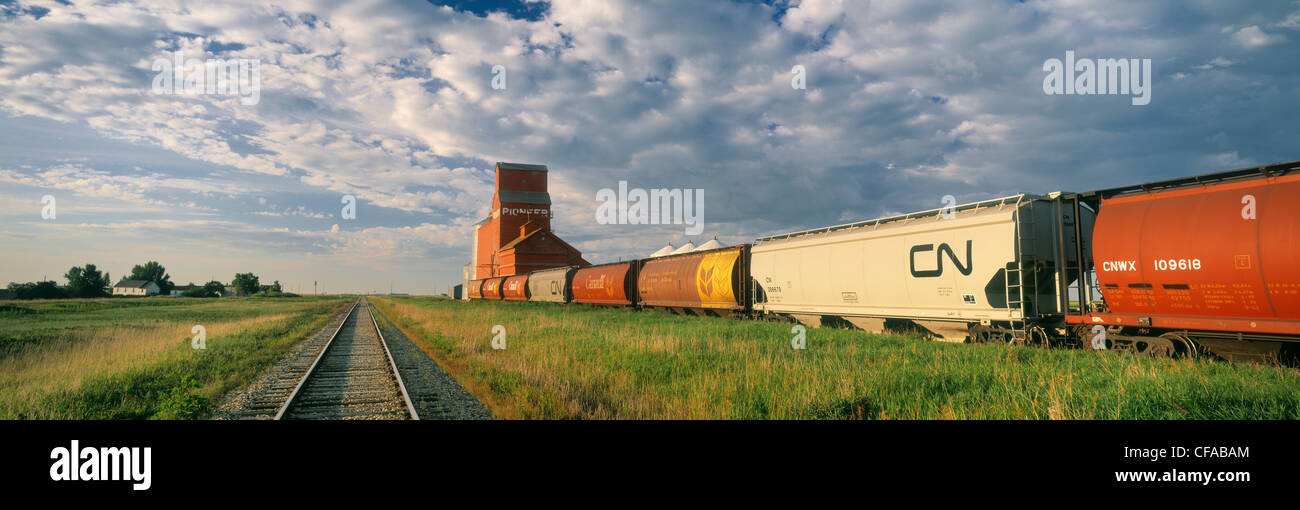 L'élévateur à grain et CN Rail train près de Regina, Saskatchewan, Canada. Banque D'Images