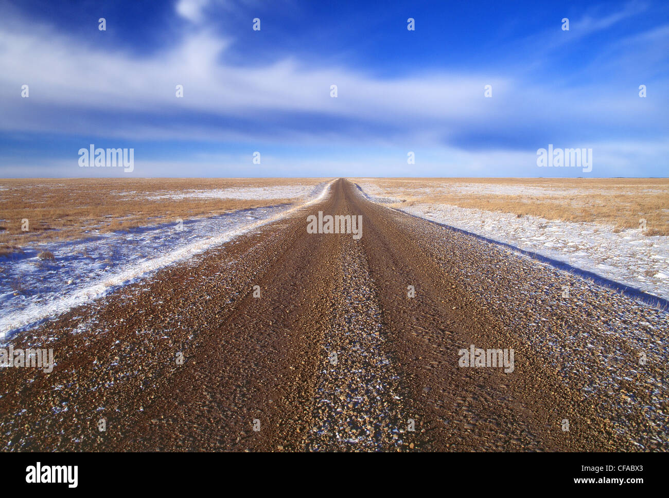 Route de comté en hiver, l'Alberta, Canada. Banque D'Images