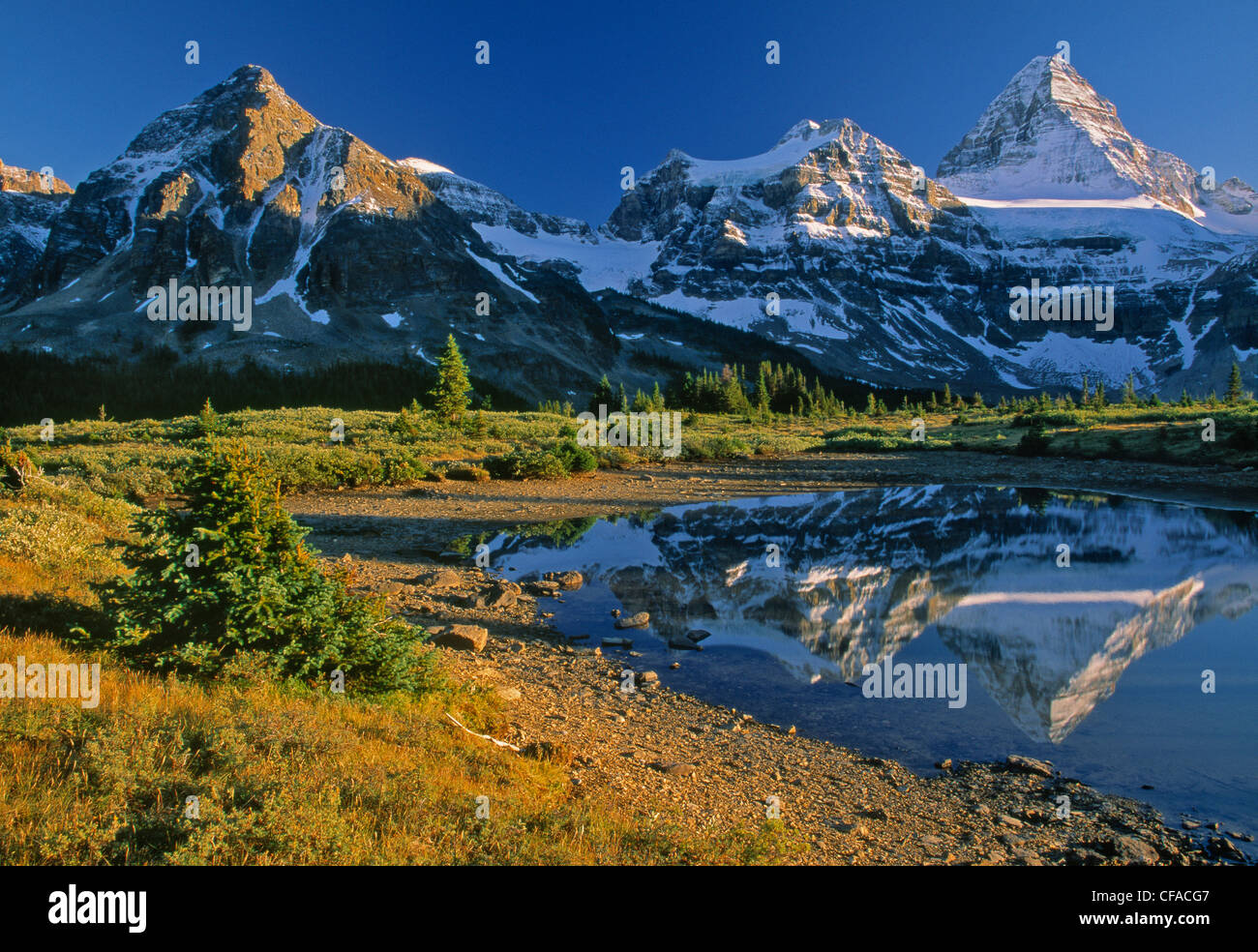 Lac Magog et Mt. Rivière Assiniboine, le parc provincial du mont Assiniboine, Colombie Britannique, Canada. Banque D'Images