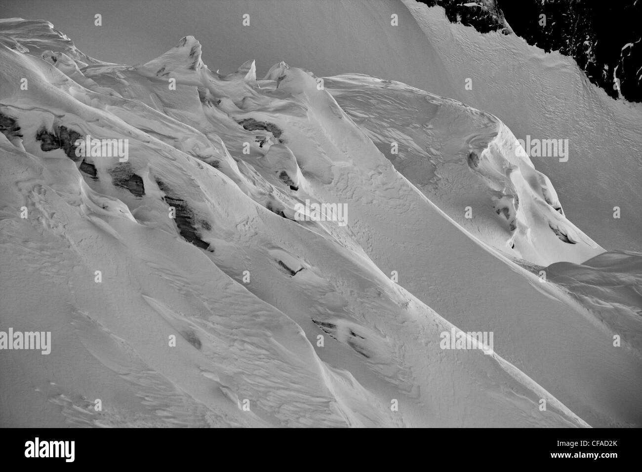 Fairy Meadows, intransigeants, chaîne Selkirk, C.-B. Banque D'Images
