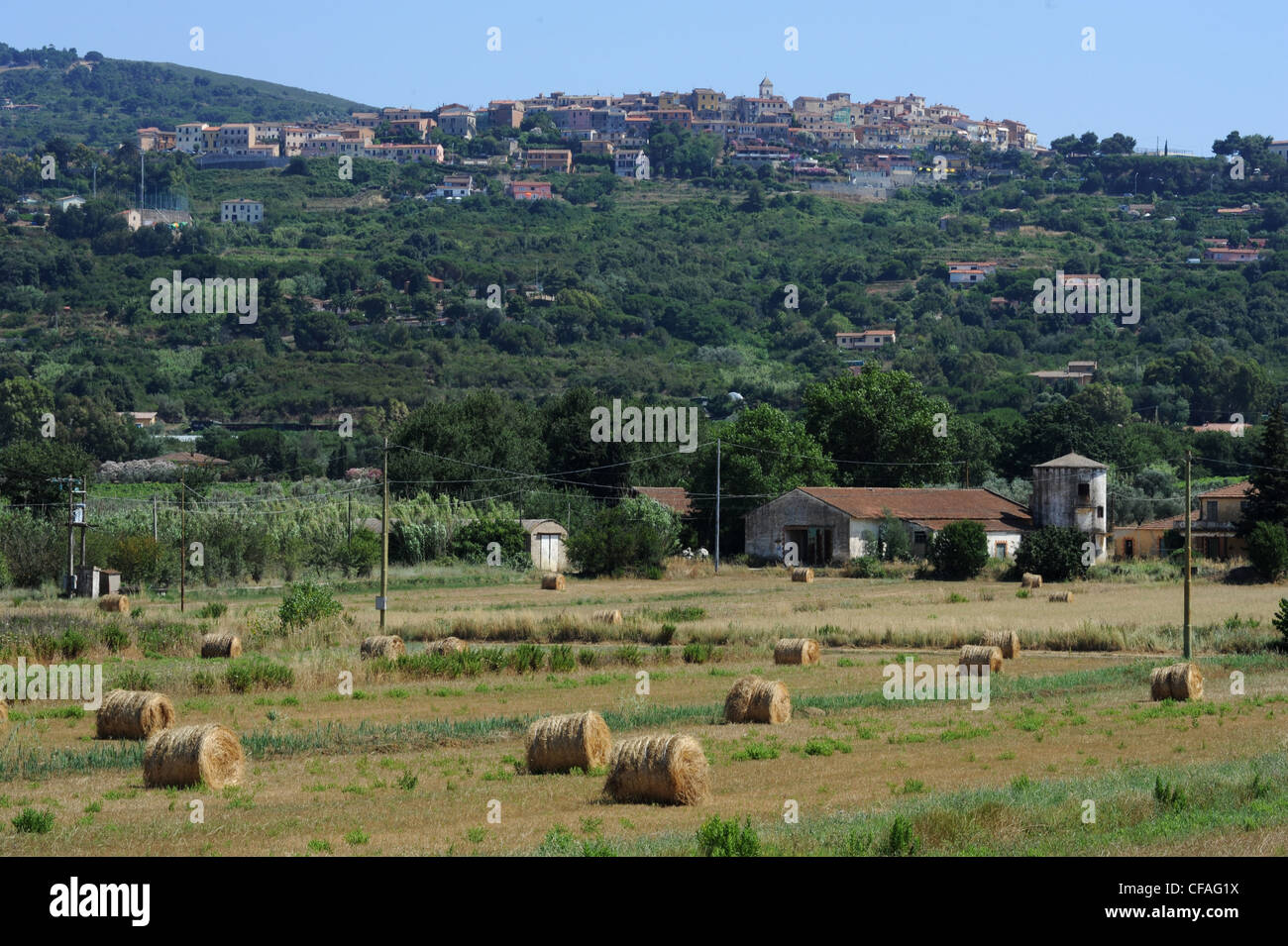 L'Italie, l'île d'Elbe, l'île d'Elbe, Toscane, Capoliveri, village, Hill, de champs, de l'agriculture hay bale Banque D'Images