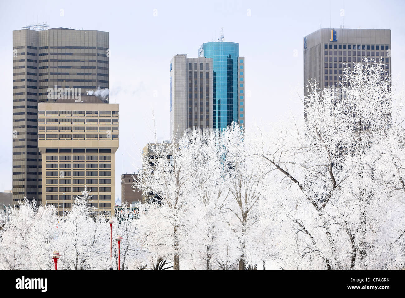 Le centre-ville de Winnipeg sur les toits d'un jour d'hiver glacial. Winnipeg, Manitoba, Canada. Banque D'Images