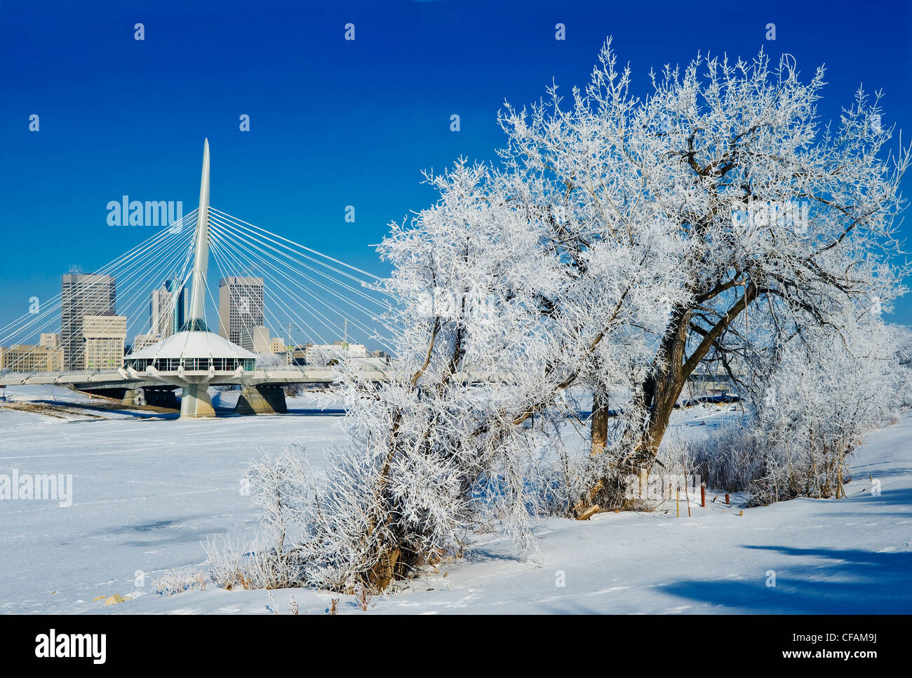 Skyline de Saint-Boniface Winnipeg montrant le pont Esplanade Riel et les arbres couverts de givre, Manitoba, Canada Banque D'Images
