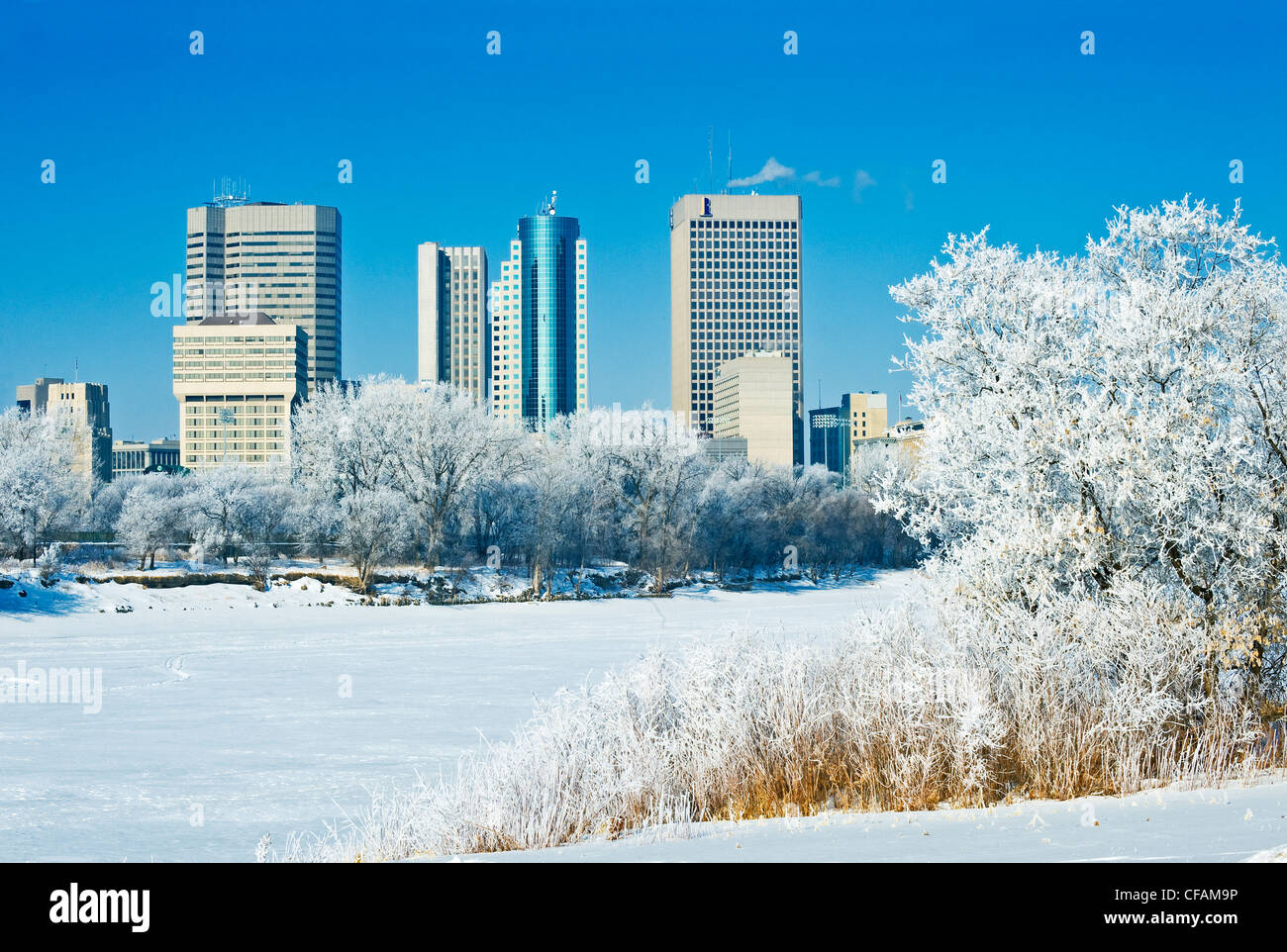 Skyline de Saint-Boniface de Winnipeg avec des arbres couverts de givre, Manitoba, Canada Banque D'Images