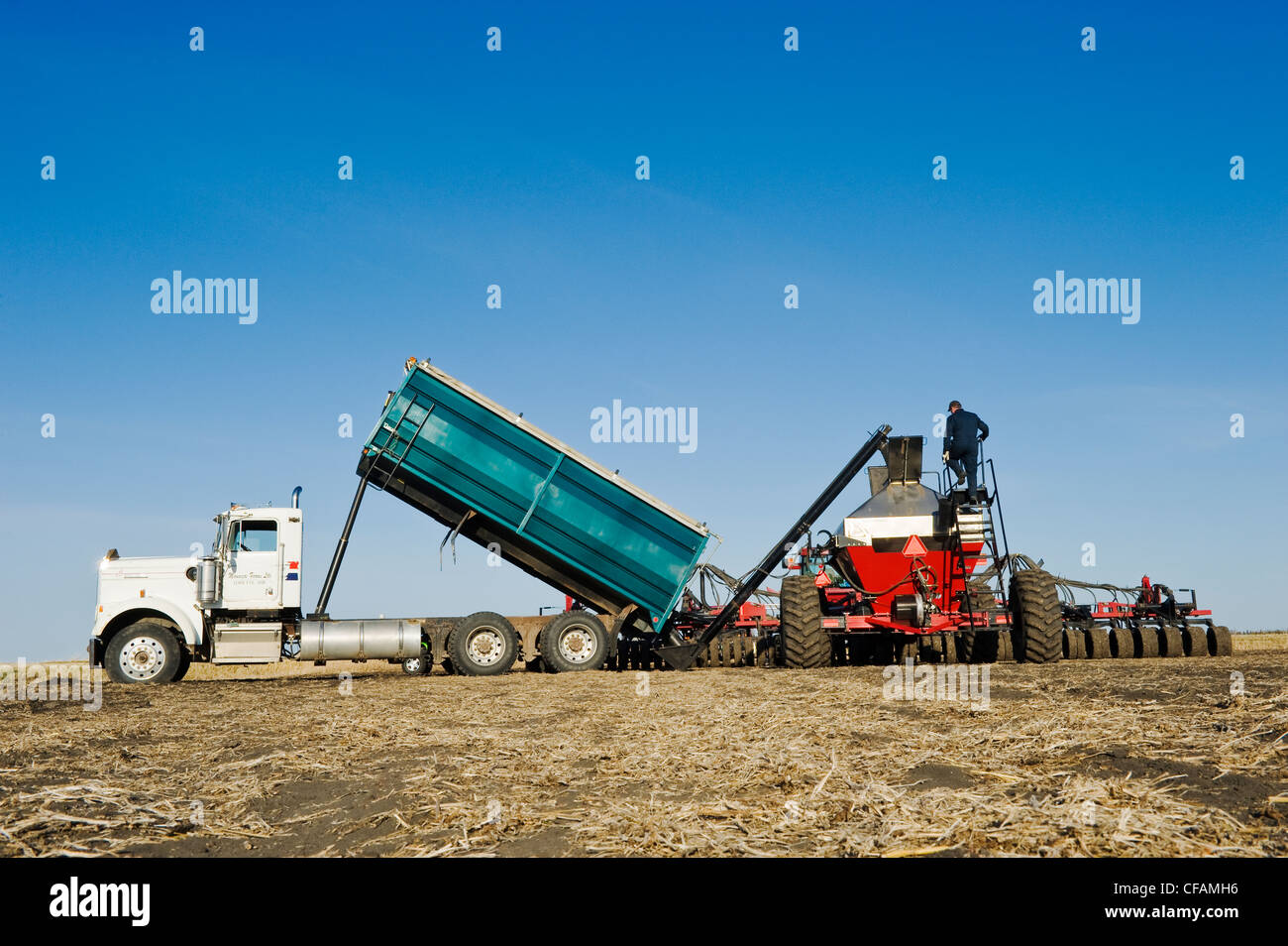 Le chargement d'un réservoir d'ensemencement des agriculteurs avec des semences de blé , près de Lorette, Manitoba, Canada Banque D'Images