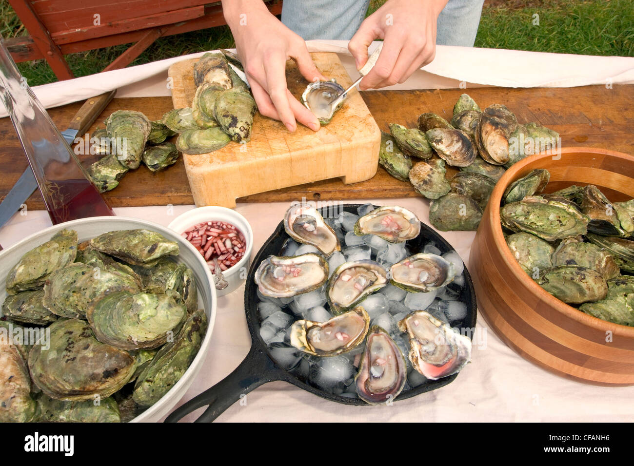 Écailler les huîtres cultivées les huîtres écaillées et avec la sauce sur la glace. Banque D'Images Écailler les huîtres cultivées les huîtres écaillées et avec la sauce sur la glace. Banque D'Images