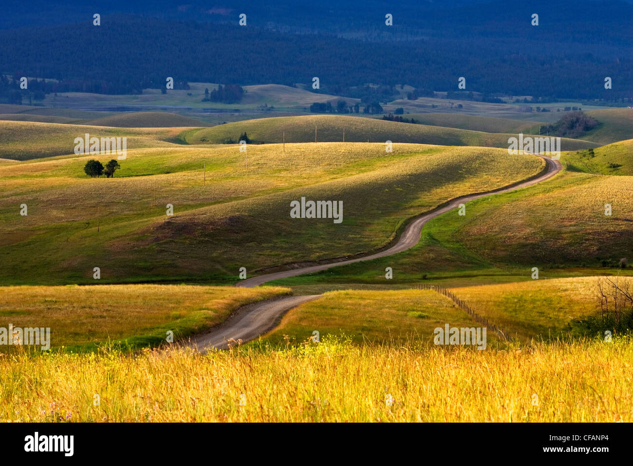 Route sinueuse à travers les prairies de la Colombie-Britannique, Canada Banque D'Images