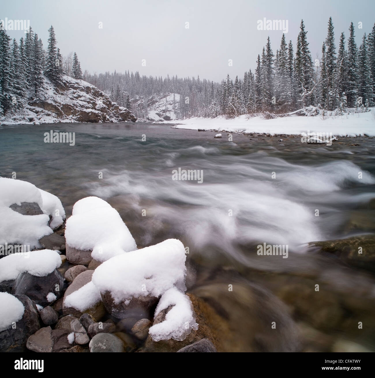 Après la neige fraîche de la rivière Elbow Elbow River en zone de loisirs provincial, Kananaskis, Alberta, Canada Banque D'Images