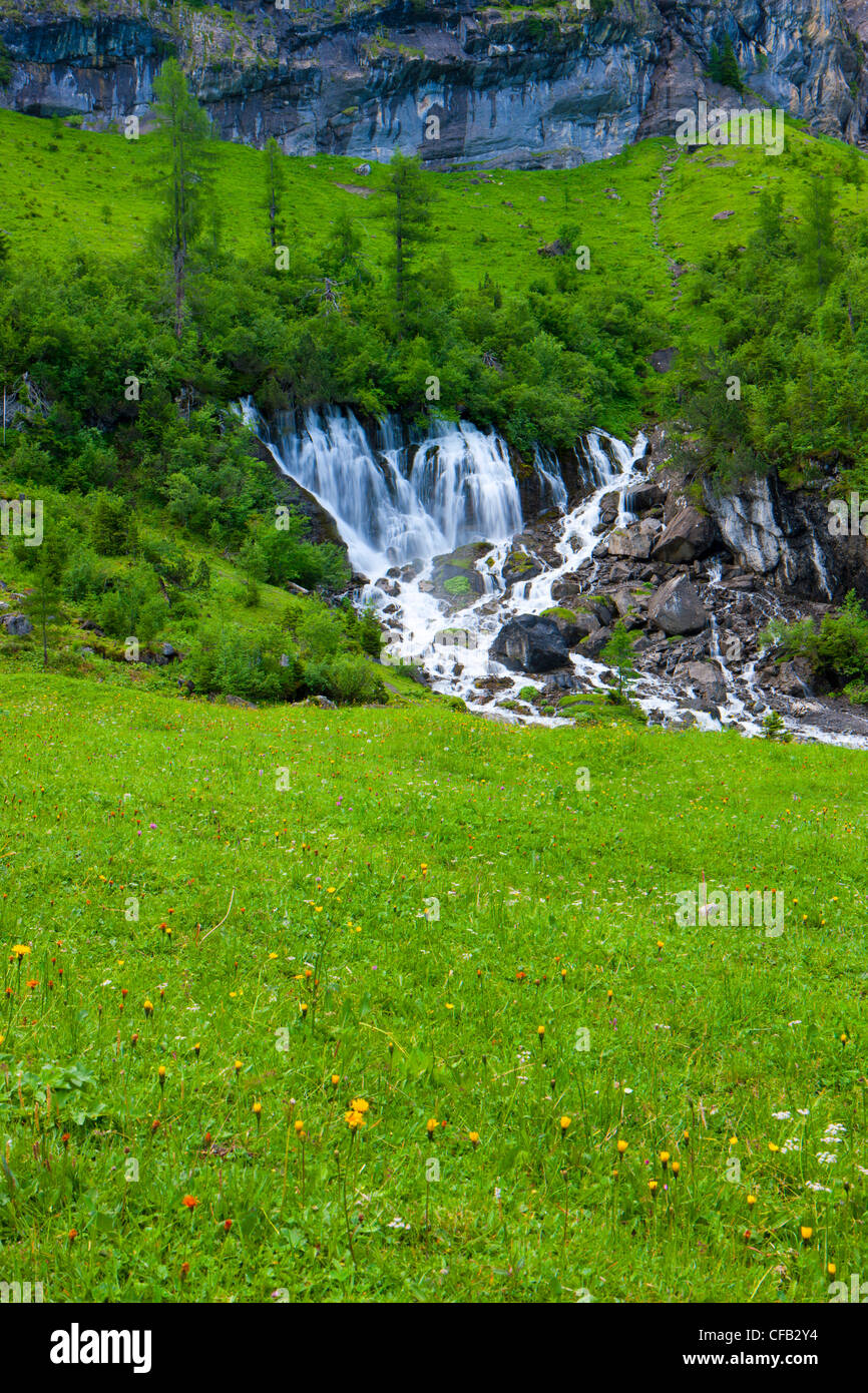 7 puits, Sieben Brunnen, Suisse, dans le canton de Berne, Oberland Bernois, Simmental, pâturage, saule, bois, forêt, printemps, sourc Banque D'Images