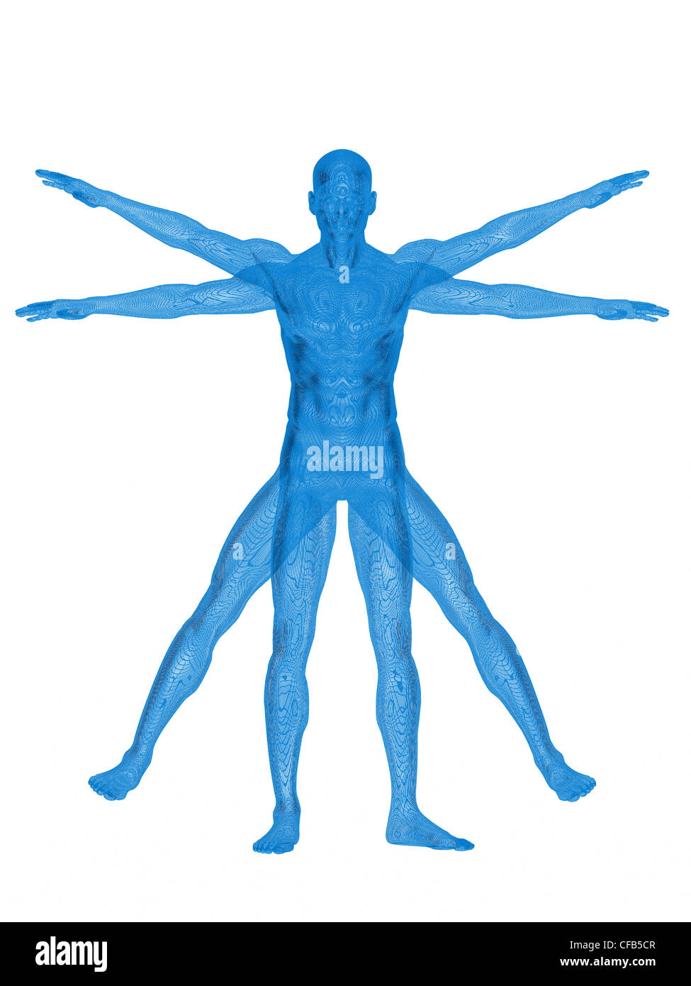 Homme de Vitruve. Le rendu 3d. On white Banque D'Images