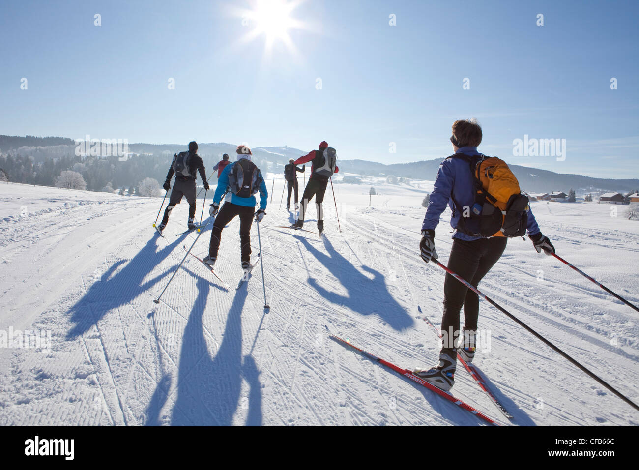 Le ski de fond, ski, tourisme, vacances, hiver, neige, sports d'hiver, France, neige, groupe, soleil, sport, GTJ, grande traversé Banque D'Images