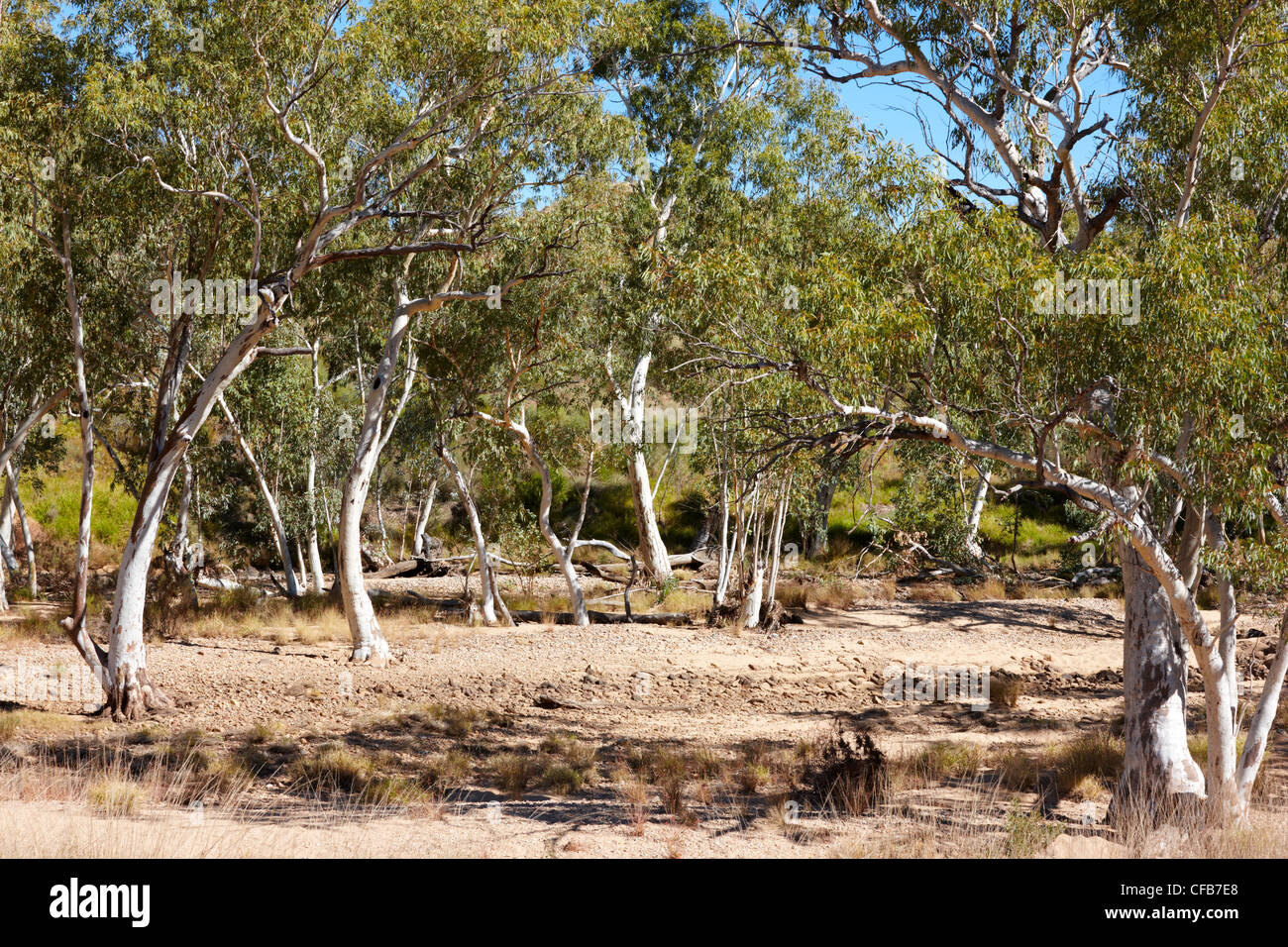 West MacDonnell National Park, Territoire du Nord, Australie Banque D'Images