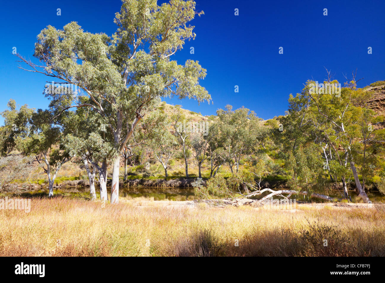 West MacDonnell National Park, Territoire du Nord, Australie Banque D'Images
