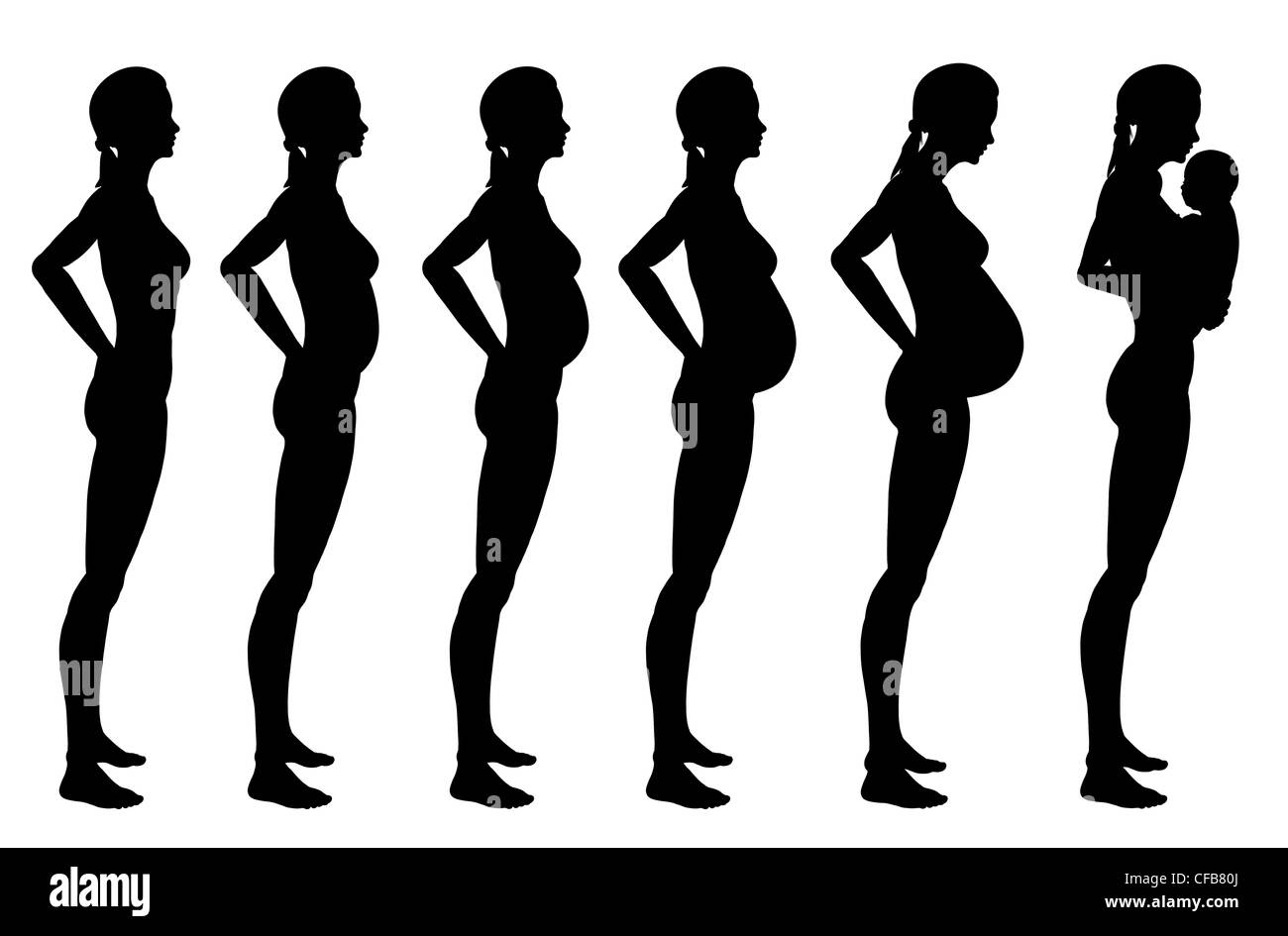 Étapes de la grossesse de la femme. Un profil de croissance complète il est isolé sur fond blanc Banque D'Images