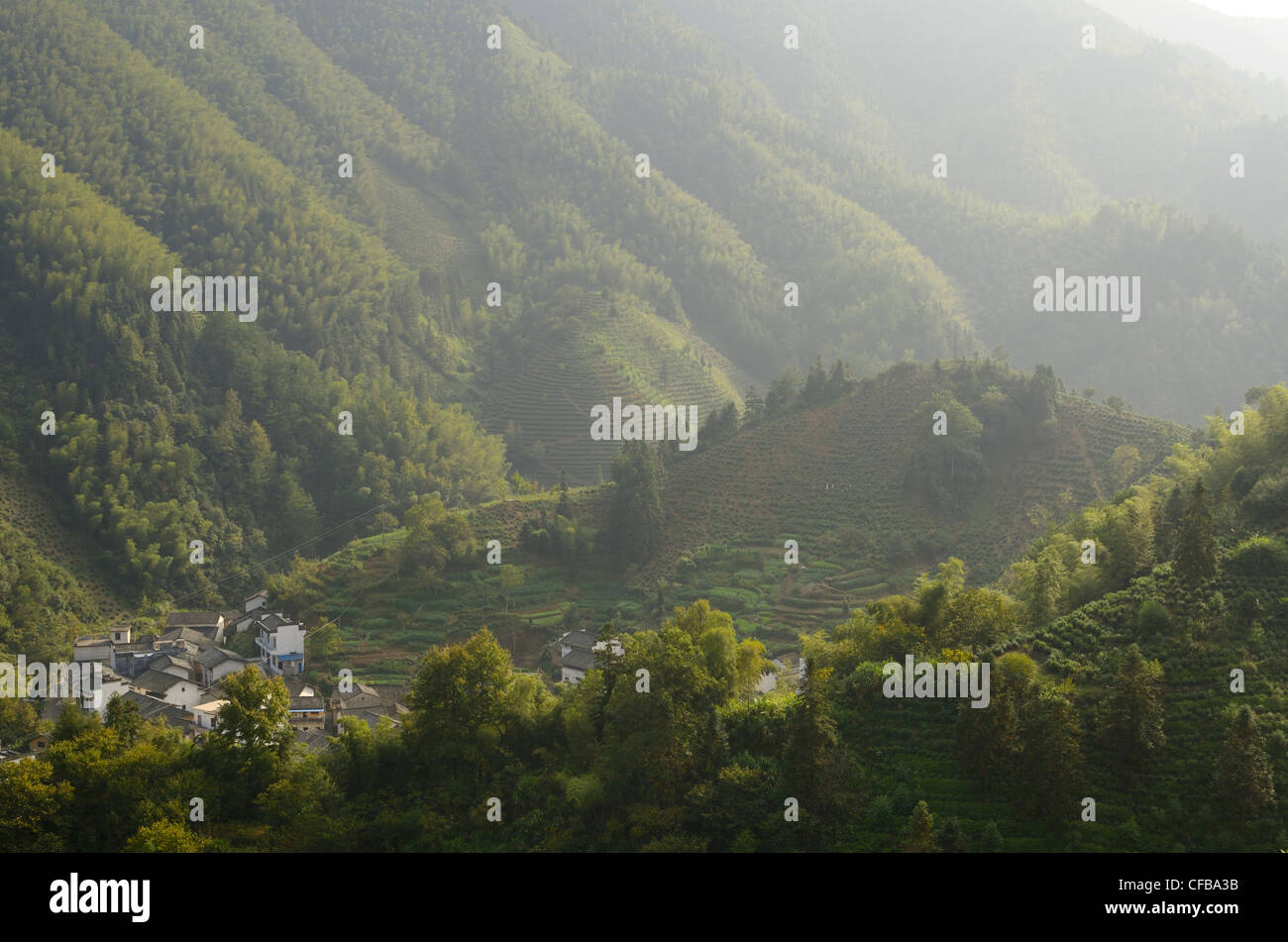 Village de montagne de Binhai Road avec la plantation de thé près de feng le lac huangshan chine Banque D'Images