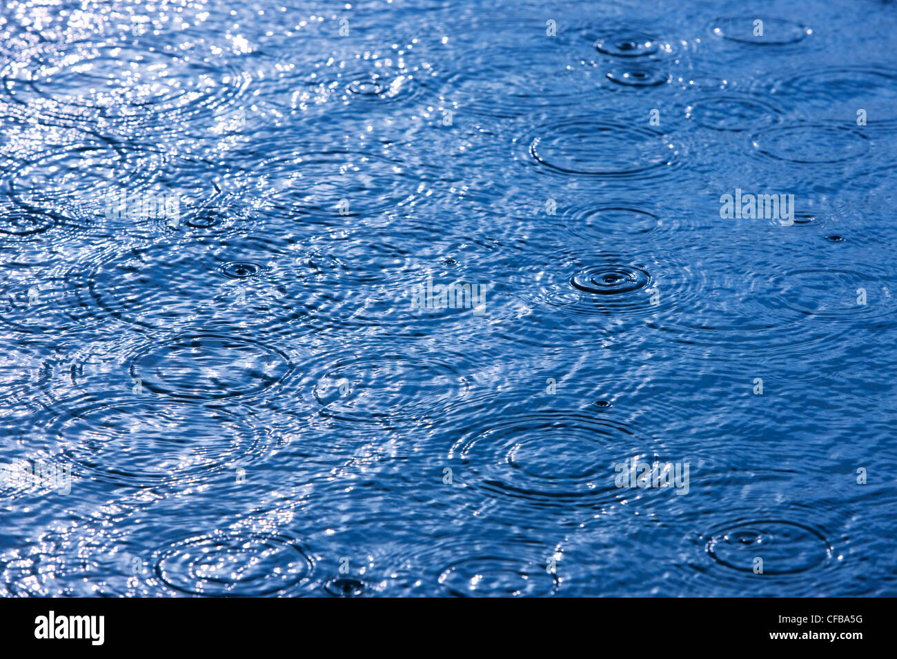 Lac, eaux, météo, pluie, pluie, gouttes, de l'égouttement, humide, Banque D'Images