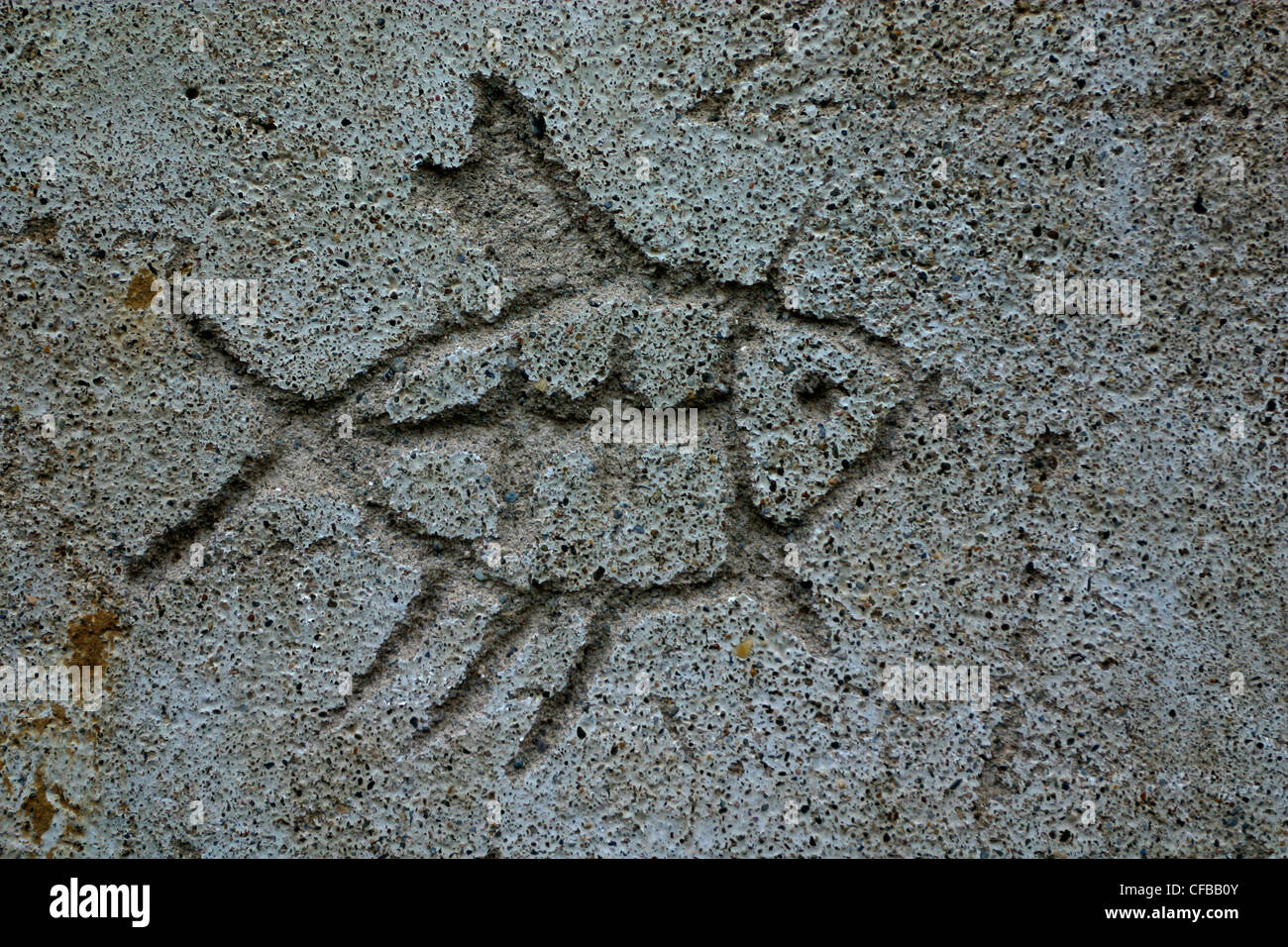 Rayé du poisson en France, graffiti de ciment Banque D'Images