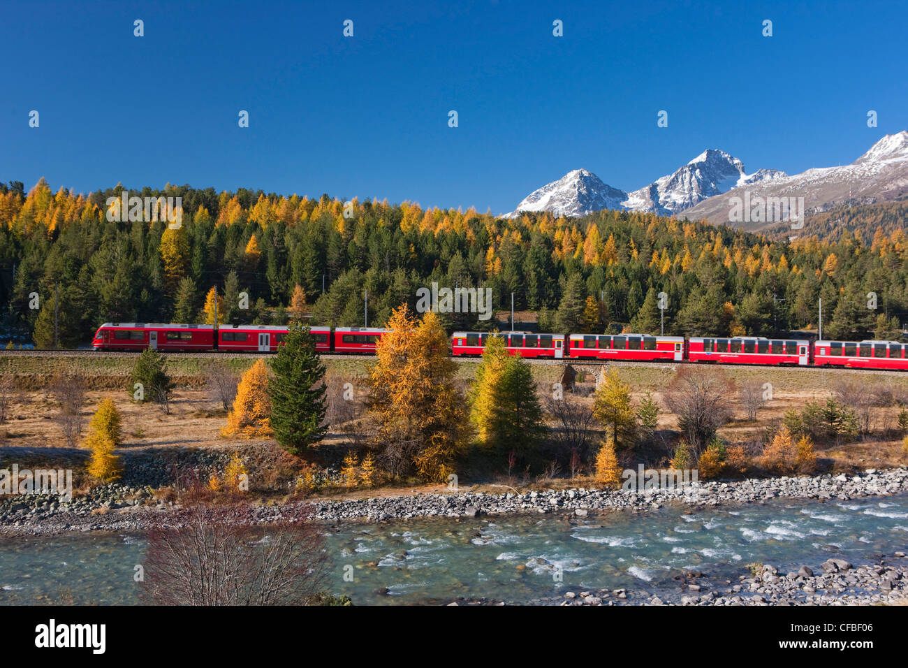 Arbre, arbres, montagne, montagnes, automne, canton, Grisons, Grisons, Suisse, Europe, Engadine, Engadine, Haute-engadine, R Banque D'Images