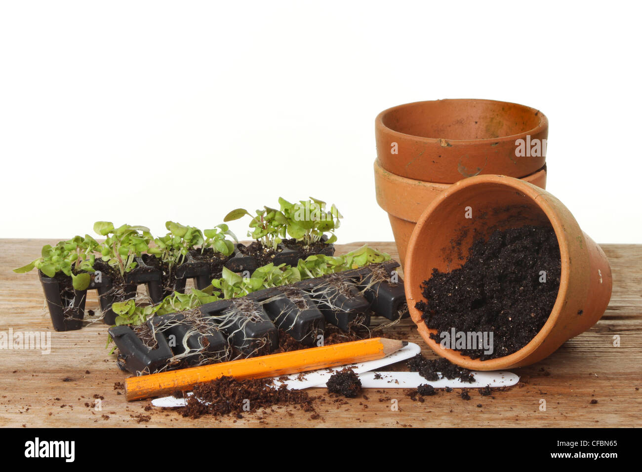 Petite fiche avec des pots de plantes et de sol sur un banc pour le surmoulage sur Banque D'Images