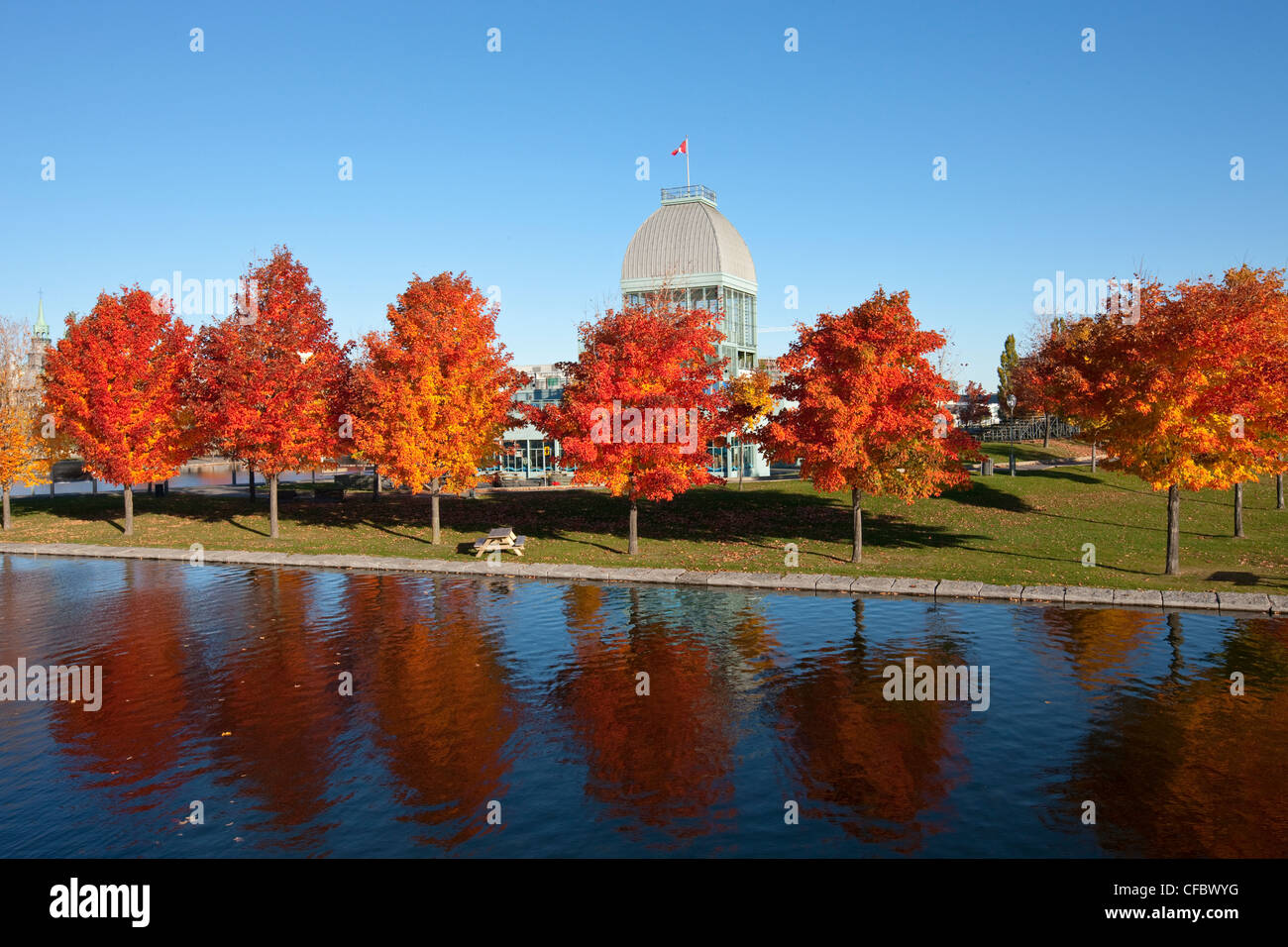 Prom, Bassin Bonsecours du Vieux-Port, le Vieux Montréal, Québec, Canada. Banque D'Images