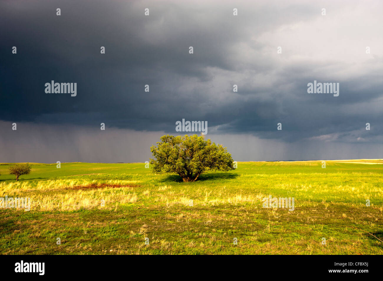 Menaces sur les champs des prairies, en Saskatchewan, Canada. Banque D'Images