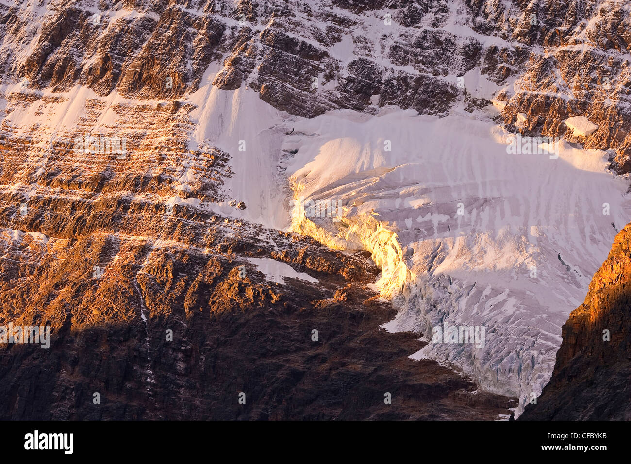 Le Glacier Angel au lever du soleil sur le Mt. Edith Cavell, Parc National de Jasper, en Alberta. Banque D'Images