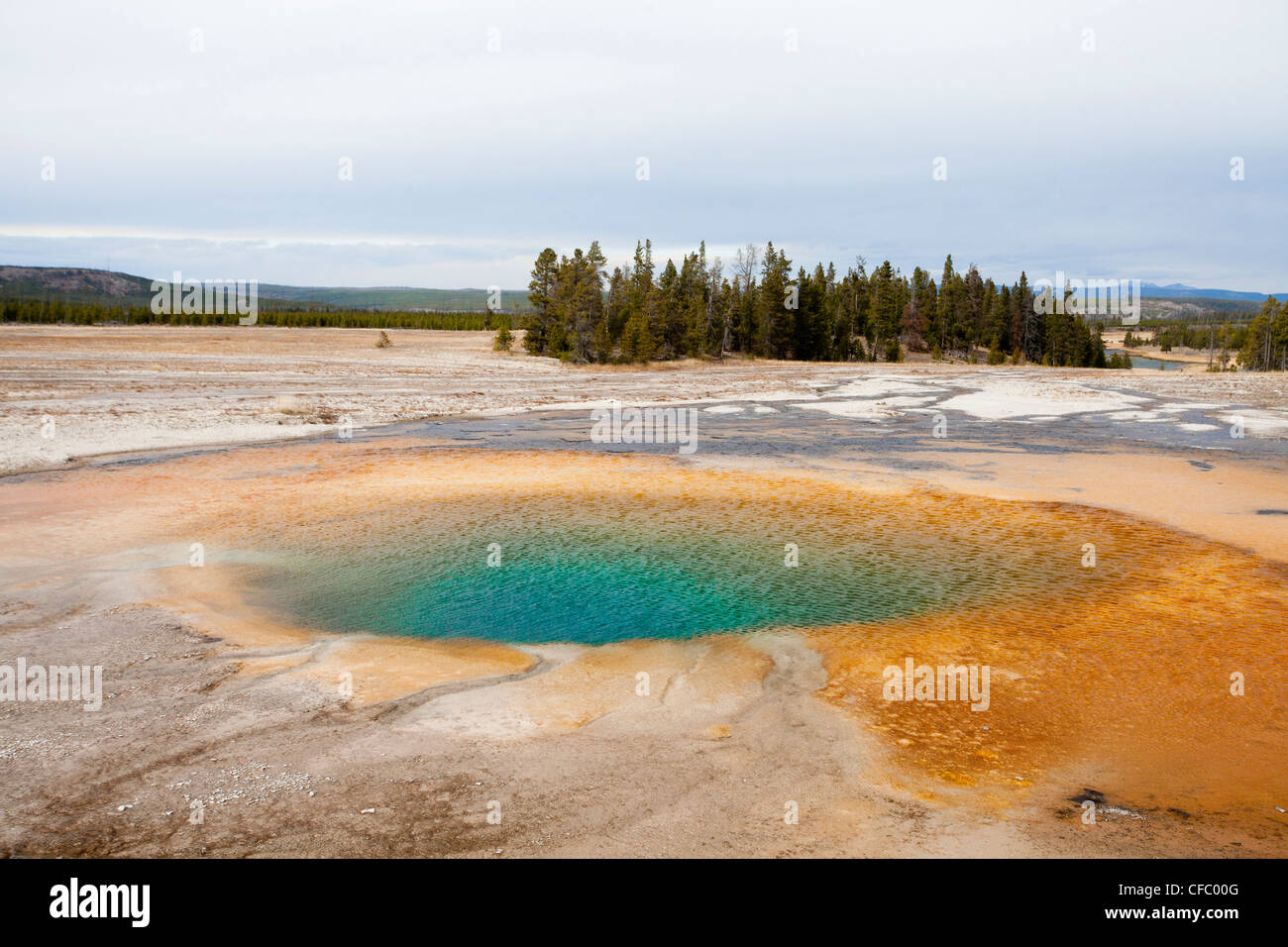 USA, United States, Amérique, Wyoming, Yellowstone, Parc National, peu Prismatic Spring, de l'eau, l'eau bleue, geyser, bain, natur Banque D'Images