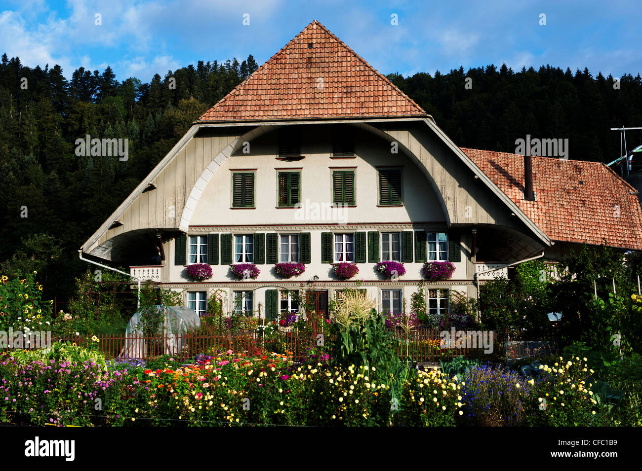 Chalet jardin, ferme, ferme, ferme, ferme stead, fleurs, Emmental, jardin, maison, ferme, canton de Berne, de l'agriculture, farmi Banque D'Images
