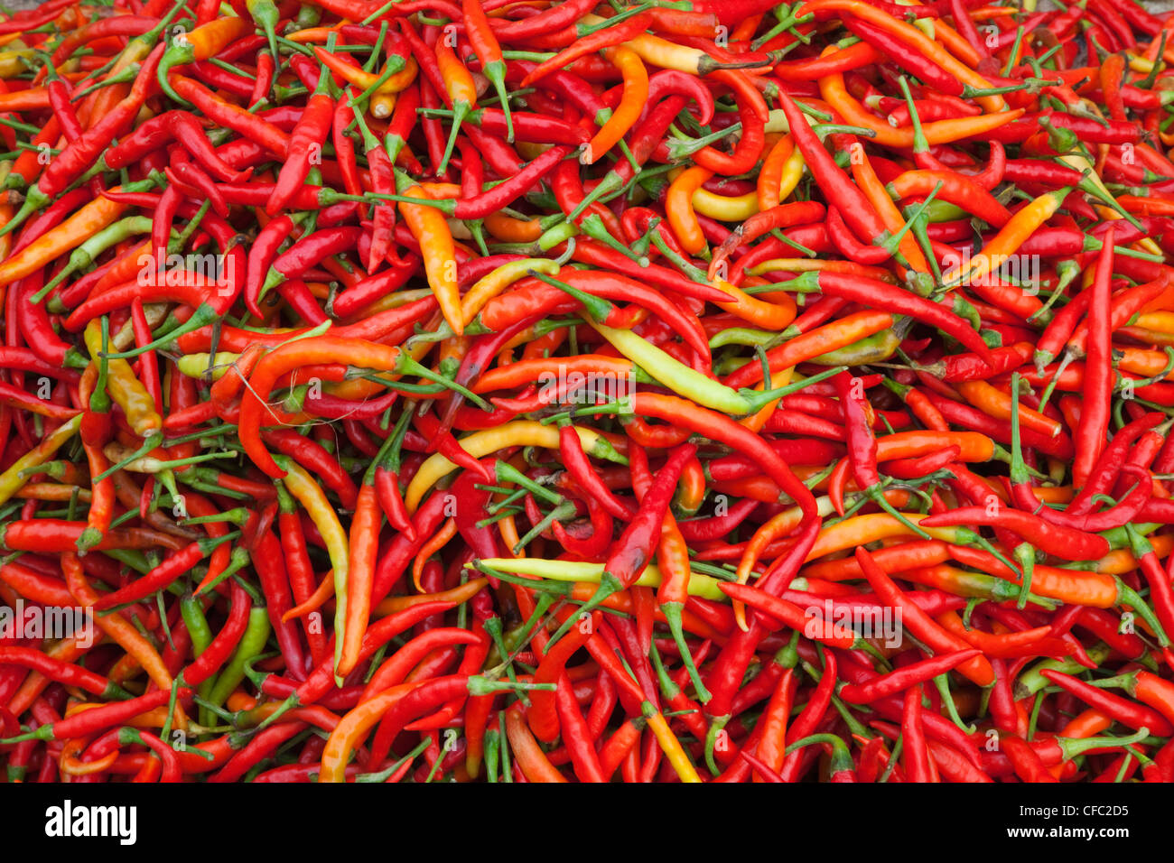 Le Laos, Vientiane, du marché du matin, Mixte Chillies Banque D'Images