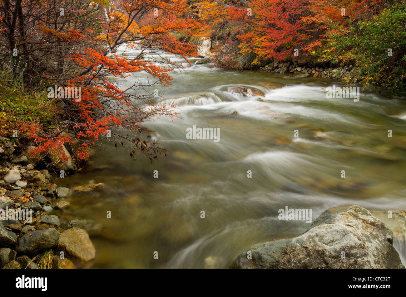 Chorrillo Rio Rushing River Nirre bordée d'arbres Banque D'Images