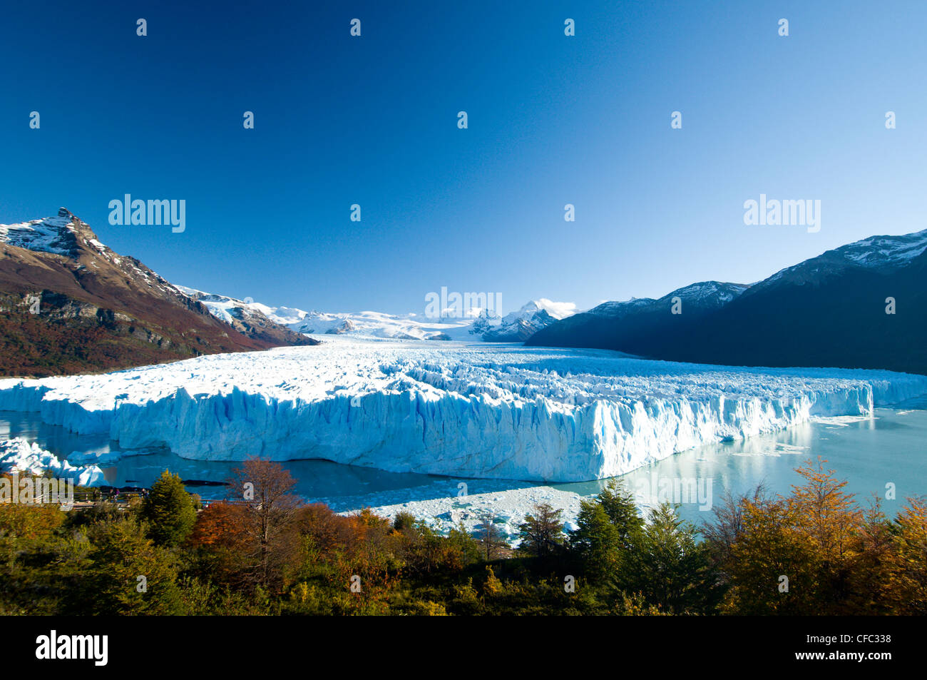 Le Glacier Perito Moreno en automne, les veaux dans les eaux du lac Argentine, Parque Nacional Los Glacieres, Argentine Banque D'Images