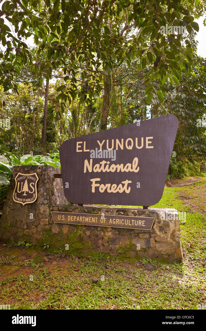 Forêt nationale de El Yunque, PUERTO RICO - Forêt nationale de El Yunque signe. Banque D'Images
