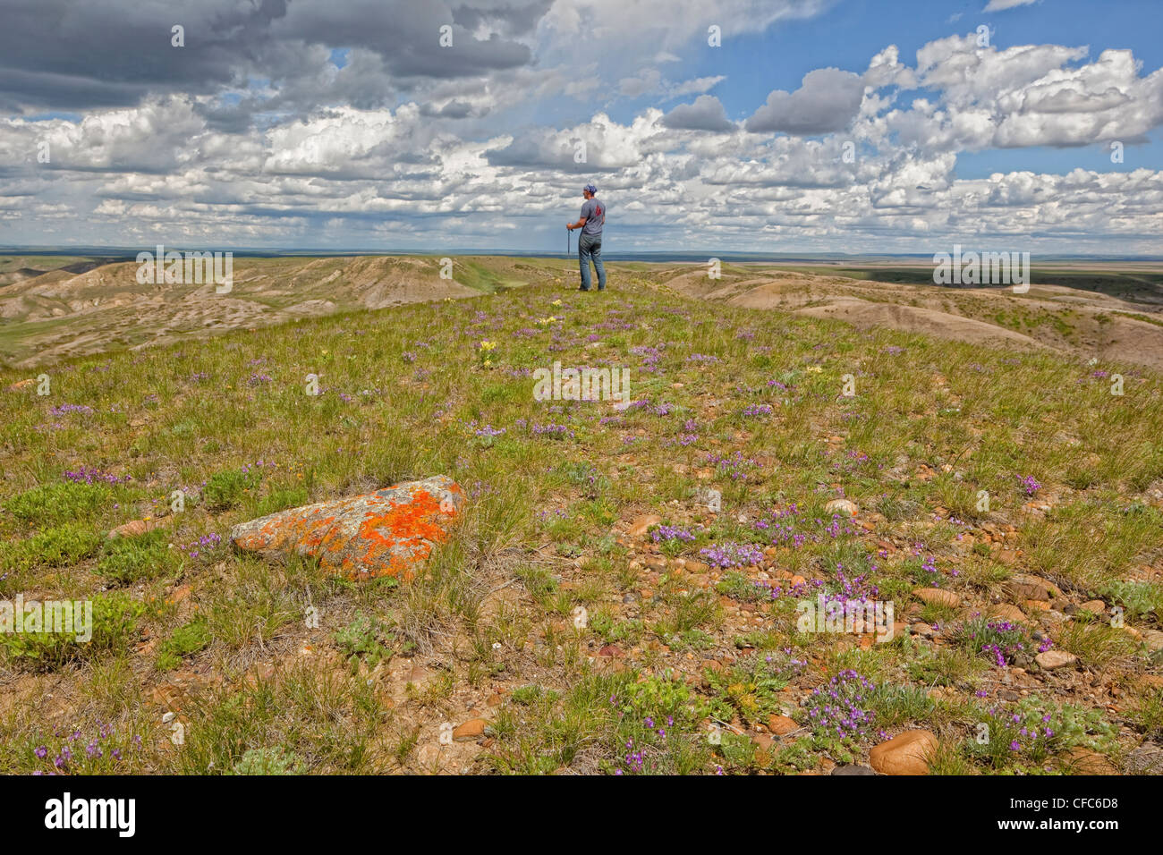 Personne debout sur 70 Mile Butte dans le parc national des Prairies, en Saskatchewan, Canada. Banque D'Images